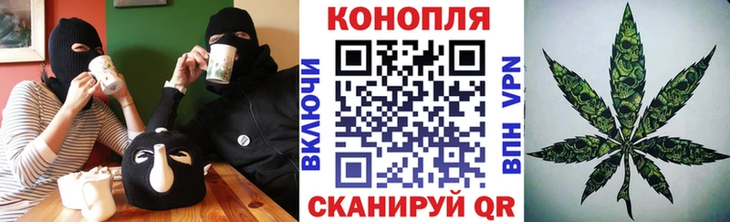 Каннабис Bruce Banner  купить   Отрадный 